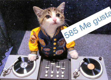 gato DJ